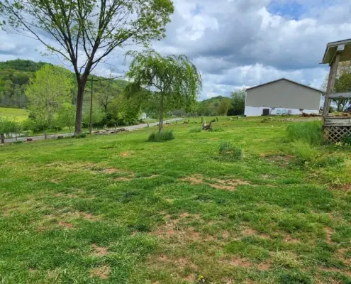 Freshly mowed yard beside a mobile home, with stumps ready for removal