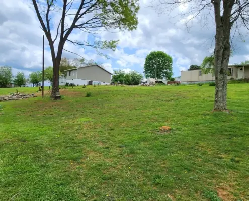 Mowed hillside yard with homes and shade trees