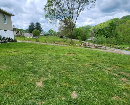 Freshly mowed side yard with a valley view