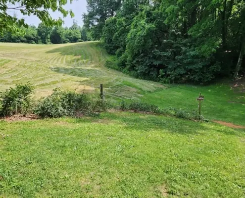 Mowed field edge and lawn at the woods line