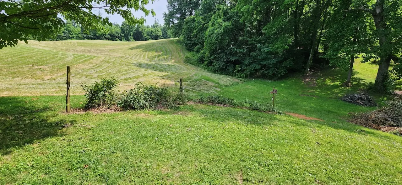 Mowed field edge and lawn at the woods line