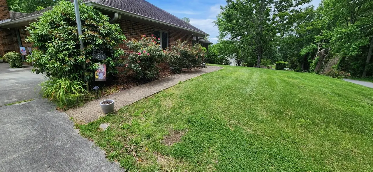 Before: overgrown shrubs crowding the walkway at the same brick home