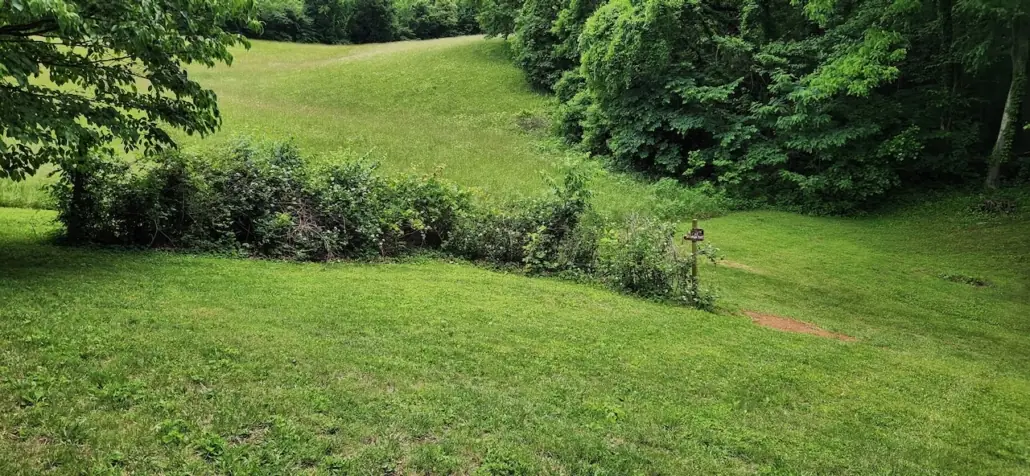 Mowed lawn below a wooded hillside