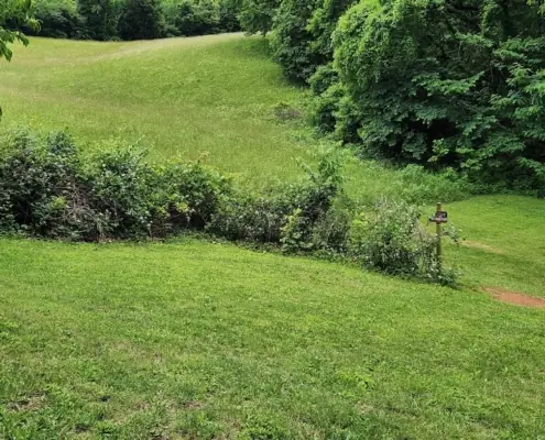 Mowed lawn below a wooded hillside