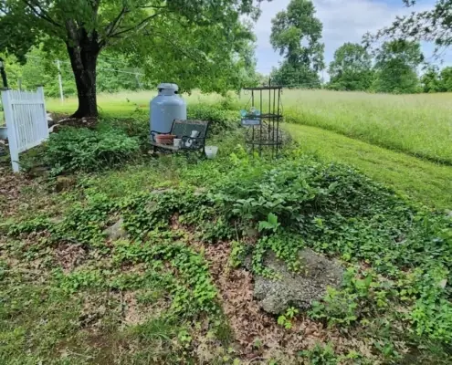 Overgrown hillside bed beside a mowed lawn