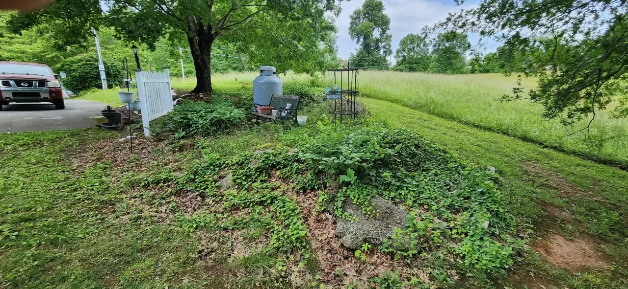 Overgrown hillside bed beside a mowed lawn