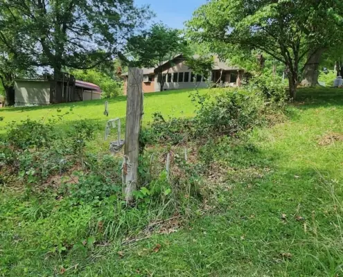 Overgrown fence line and brush beside a yard